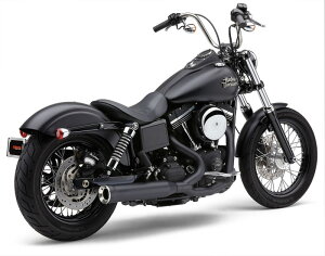 COBRA POWER PRO HP 2in1 RPT GL][Xg ubN 2012`17N_Ci