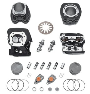 XN[~C[O cCJRo[WLbg 110ci@2011`17N_CiA2011`17N\teC