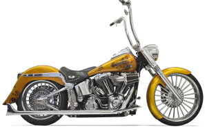 Bassani gD[fA tBbVe[@2007`17N\teC