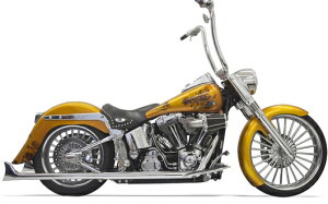 Bassani gD[fA tBbVe[@2007`17N\teC