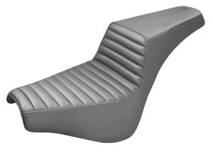 TR-STEP-UP V[gF2018Nȍ~FXBB/SA2020Nȍ~FXST