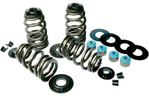 ECONO BEEHIVE ouXvOLbgF2004`22NX|[cX^[A2005`17NcCJ