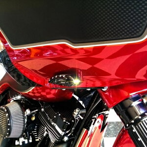 DIMPLED ^[VOiF2015`24NFLTRfA2023Nȍ~FLTRT/ubN