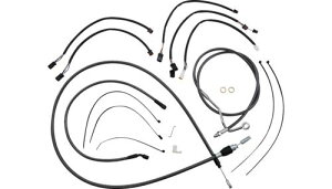 nho[CXg[VLbg 2021Nȍ~FLHRXS J[{t@Co[F12`14C`GCv