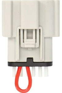 CARPLAY Wp[n[lX:2019`24Nc[O