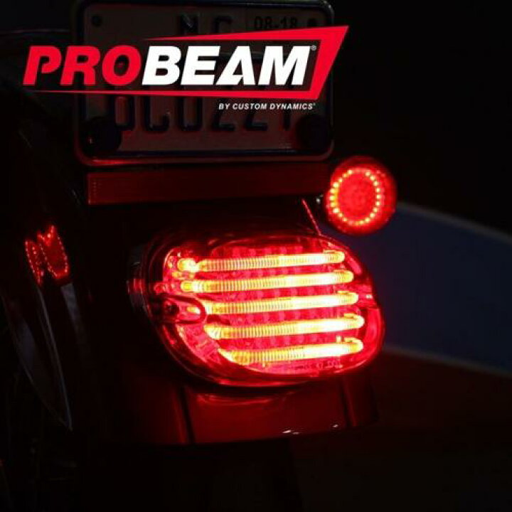 楽天市場】ProBEAM LOW PROFILE LEDテールライト スモークレンズ / 下 