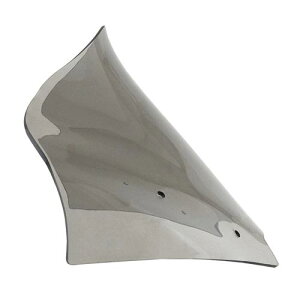 PRO-TOURING FLARE EChV[h 12C` CgX[N 2023Nȍ~FLTRXSEA2024Nȍ~FLTRXAFLTRXSTSE