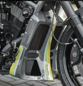 INDY WG[^[Jo[ 2007`17NVRSCDXAVRSCF