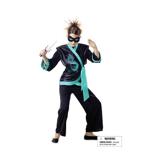 JEWEL DRAGON NINJA E a ߑARX`[ qp RXv