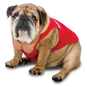 ライフガード 犬用コスチューム Zelda Lifeguard Dog コスプレ