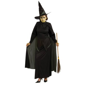  IY̖@g ߑARX`[ lp The Wizard of Oz Wicked Witch RXv