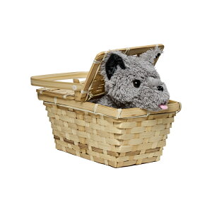 IY̖@g gg&oXPbg ʂ l` RXv ObY Deluxe