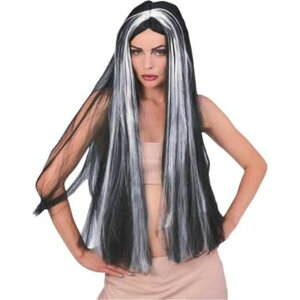 SX opCA zS EBbOA OC̃Xg[NtubN p C` RXv z[