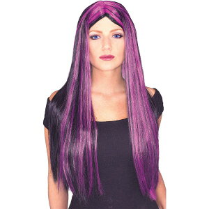 SX  O EBbOA p[ṽXg[NtubN p 24C` RXv