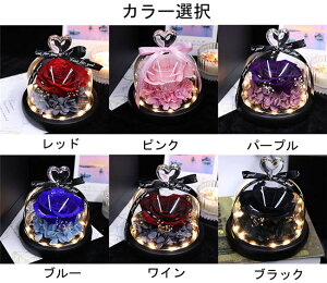 6FWJ@a FB Mtg vU[uht[ o  n[g^ Mtg  uU[ht[ KXh[ LO av[g ͂Ȃ t[AWg 