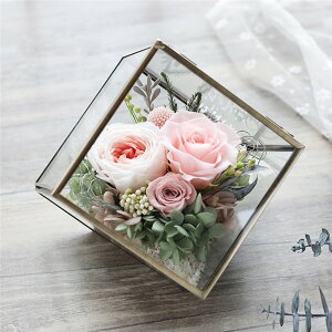 8�F�W�J�@��̓� �v���U�[�u�h�t�����[ �v���[���g �M�t�g ������� �L�O���v���[���g �a���� �����j�� ���~ ���蕨 �V�z�j�� �J�X�j�� �ސE�j�� �L�O�i �o�Y�j�� ���Əj�� �����}�� �����L