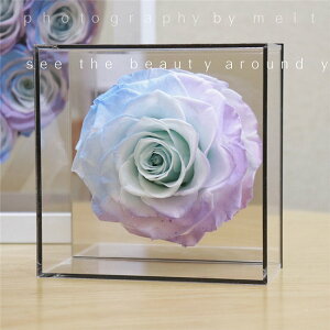 11FWJ@̓ vU[uht[ v[g Mtg  LOv[g a j ~ 蕨 Vzj JXj ސEj LOi oYj Əj } L