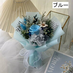 vU[uht[  o@ Ԃ w ̓ v[g Mtg ԑ u[P@蕨 wj u[P EFfBO   e ԑ ʉ uU[ht[ 