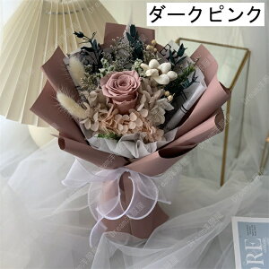 vU[uht[  o@ Ԃ w ̓ v[g Mtg ԑ u[P@蕨 wj u[P EFfBO   e ԑ ʉ uU[ht[ 