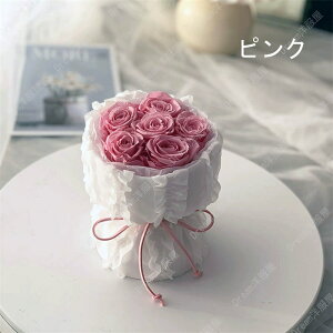 6FWJ@vU[uht[  o@ ԑ w ̓ v[g Mtg ԑ u[P@蕨 wj u[P EFfBO   e ԑ ʉ uU[