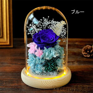 vU[uht[ KN@KXh[ ̓ v[g ͂Ȃ  aMtg o [Y uU[uht[ Mtg TvCY v[g KN LEDCgt ỉ 