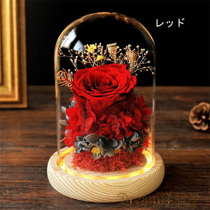 vU[uht[ KN@KXh[ ̓ v[g ͂Ȃ  aMtg o [Y uU[uht[ Mtg TvCY v[g KN LEDCgt ỉ 