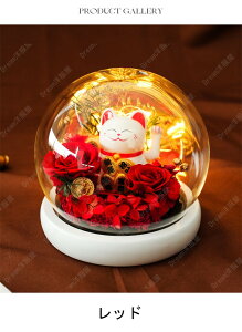 vU[uht[ KN Mtg F av[g ỉ i ͂Ȃ L o hCt[ dr{bNXt LEDCgt Ǝ ̓ l l a j