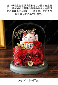 vU[uht[ KN Mtg F av[g ỉ i ͂Ȃ L o hCt[ dr{bNXt LEDCgt Ǝ ̓ l l a j