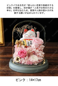 vU[uht[ KN Mtg F av[g ỉ i ͂Ȃ L o hCt[ dr{bNXt LEDCgt Ǝ ̓ l l a j