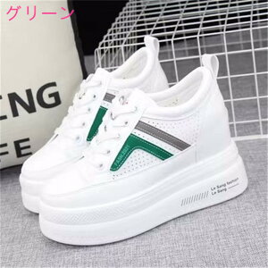 4F 10cmq[@fB[XXj[J[@Cq[@@[Jbg@JWA@fB[X@Xj[J[@̎q@^@C@V[Y@@t  H ~@V