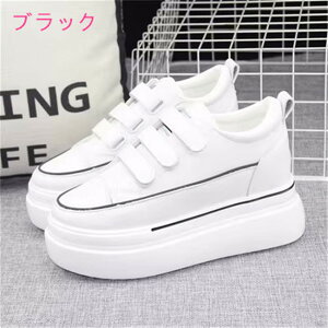 ubN/O[ 10cmq[@fB[XXj[J[@Cq[@@[Jbg@JWA@fB[X@Xj[J[@̎q@^@C@V[Y@@t  H ~@V