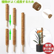 ココスティック モンステラ 支柱 おしゃれ 植物 支柱 ポトス 支柱 高さ調整可能 頑丈 耐久 ココナッツ 園…