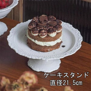 P[LX^h @@a21.5CM@zCg@Ob`[j H fUCG e[uEFA X Lb`G C^A Mtg j 蕨 P[LJo[ P[Lh[ v[g@fU