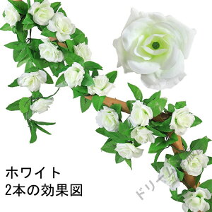   o KN ݂艺 Ǌ| 2.3M 1{9ւ̉ ͂Ȃ tFCN t[ wi lHϗtA t CeA EFfBO  ԉ  fR[V ACe a p[