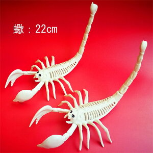 ���� �n���E�B�� �[�� �K�C�R�c �� �z���[ ���A�� ���i�W�{ �[�� �K�C�R�c �n���E�B�� ���� �u�� �X�J�� �h�N�� �ǂ��� �~�j �z���[ �S�g �͌^ �������� ������ ���O ���� �����@ �C���e���A 