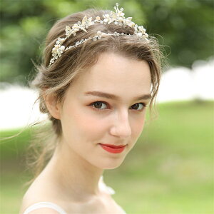 W^@@wbhhX@r[Y@ԁ@p[eB[ EFfBO uC_  2 t \ RT[g I iȃwbhANZT[ fB[X ԉ 蒅