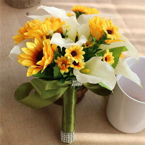 CG[@q}yu[PzEGfBOu[P ԉ u[P  EFfBOu[P  uC_u[P  񎟉 GKg CO y25cmA30cmz