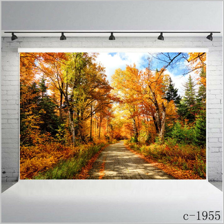 楽天市場 15タイプ選択可能 クリスマス 撮影 背景布 1 5m 2 1m 撮影用背景 背景 撮影用 背景スクリーン バックグラウンド 撮影ブース モデル撮影 スタジオ撮影 全身撮影 写真撮影 商品撮影 撮影用品 送料無料 花 キッズ 子供 パーティー ドリーム洋服屋 楽天市場 15タイプ選択可能 クリスマス 撮影 背景布 1 5m 2 1m 撮影用背景 背景 撮影用 背景スクリーン バックグラウンド 撮影ブース モデル撮影 スタジオ撮影 全身撮影 写真撮影 商品撮影 撮影用品 送料無料 花 キッズ 子供 パーティー ドリーム洋服屋