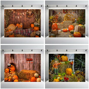 9^CvI\@Be wiz W210×H150cm Bepwi wi Bep wiXN[ obNOEh Beu[X fBe X^WIBe SgBe ʐ^Be iBe Bepi  