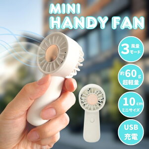 gѐ@ | nfBt@ ^ @ 莝 2025 ~j ^ y 킢   nfB[t@ P[^C nfB@ oC lbN Ղ т 