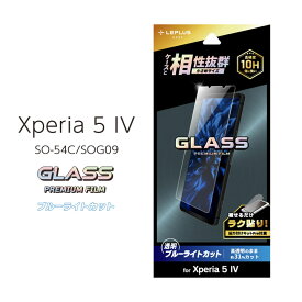 Xperia5IV SO-54C SOG09 SoftBank ガラスフィルム スタンダードサイズ ブルーライトカット エクスペリア5マークフォー 液晶保護フィルム 画面保護 ラク貼り 超硬度10H表面強化ガラス［LN-22WX1FGB］