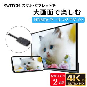 HDMI�A�_�v�^ �~���[�����O�A�_�v�^ �ϊ��A�_�v�^ SWITCH SWITCH2 Type-C TV iPhone Android �X�}�z �^�u���b�g iPad PC�Ή� �e���r�o�� USB�}�E�X USB������ �ȒP�ڑ� �]�� ���� ���j�^�[ �ӏ� ���� 4K �e��