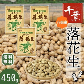 落花生 殻付き（千葉県） 千葉県八街産 新豆【3袋 まとめ買い】当日出荷 送料無料 450g 殻付き 【ナカテユタカ】ピーナッツ 中手豊【HB11】国産 皮ごと 煎りざや 無添加 無着色 無塩 はせべ ちば 八街産 100% やちまた ナッツ ピーナツ ぴーなつ らっか
