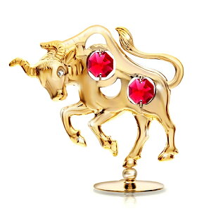 Ԃ ҋ u (  j NN a v[g Mtg 蕨 j    EV  x 12 \x a m _ _k ܍LF ObY KF S[h 