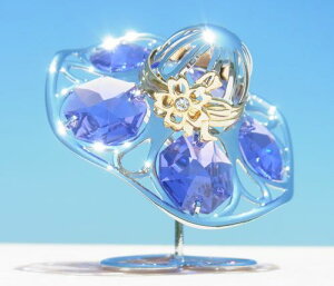 킢 Xq u 1 fB[X  av[g Mtg 蕨  FB T}[nbg nbg Xg[nbg Vo[ t@bV u  XtXL[ NX^