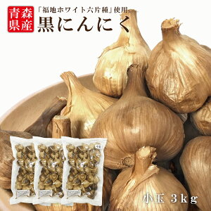 Y XY ɂɂ  3kg nzCgZЎ ɂɂ ɂɂ Y e N Hi z