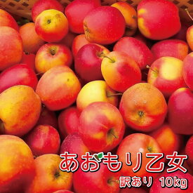 ＼0のつく日ストアポイント3倍／緊急入荷！【訳あり】あおもり乙女ミニふじりんご10kg