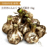 令和8年産 青森県産 土付き にんにく サイズ混合 玉 1kg 新物 福地ホワイト六片種