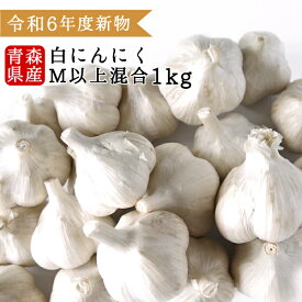 ＼0のつく日ストアポイント3倍／令和6年度 国産 青森県産 にんにく Mサイズ以上 玉 1kg 新物 福地ホワイト六片種 送料別