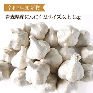 _5̂XgA|Cg3{^ߘa7Nx Y XY ɂɂ MTCYȏ  1kg V nzCgZЎ 